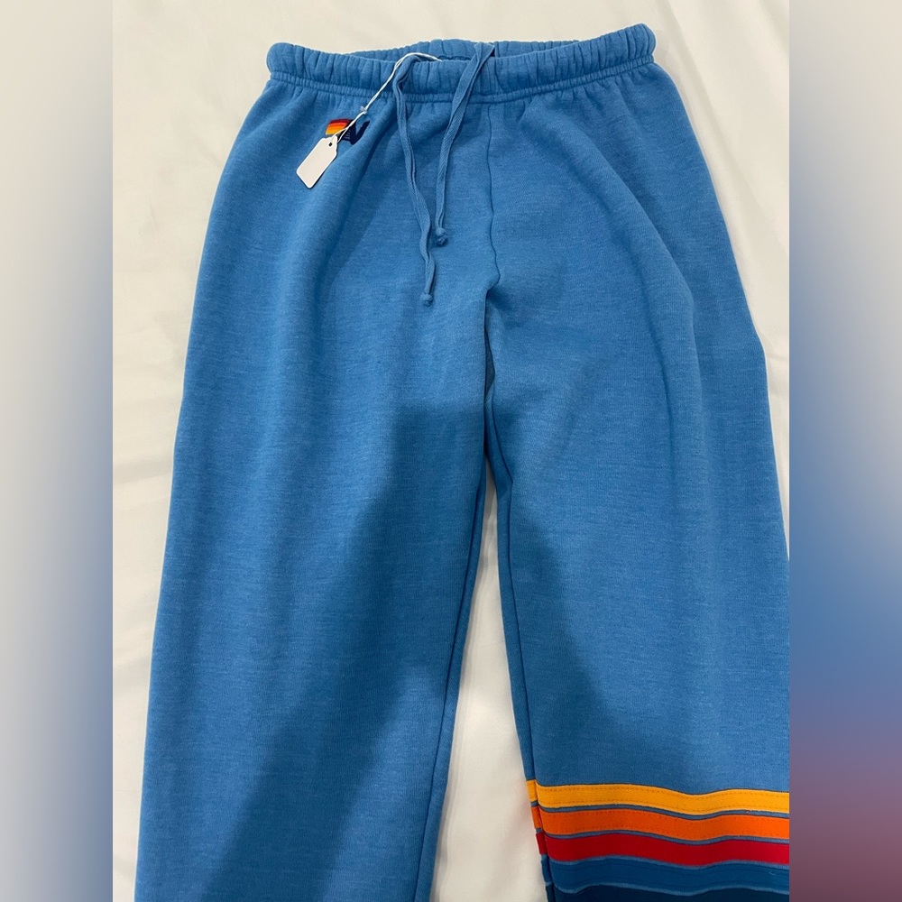 Brand new Aviator Nation sweatpants in ocean size medium